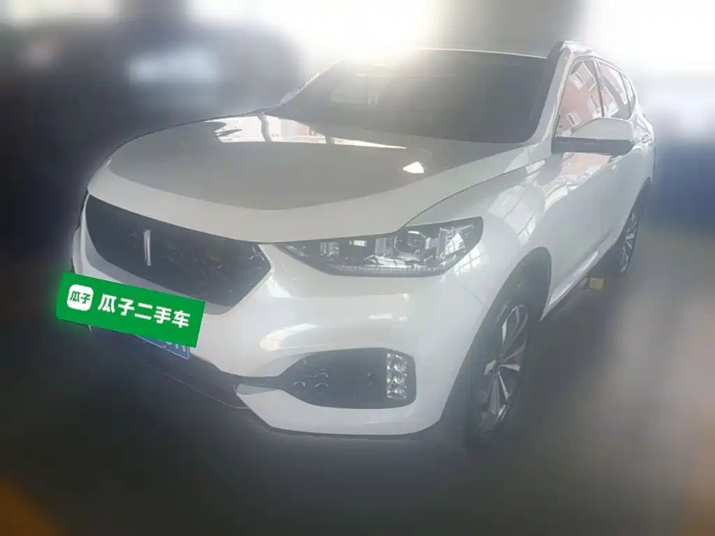WEY VV6 2019 2018 2.0T 2WD Super Luxury China V
