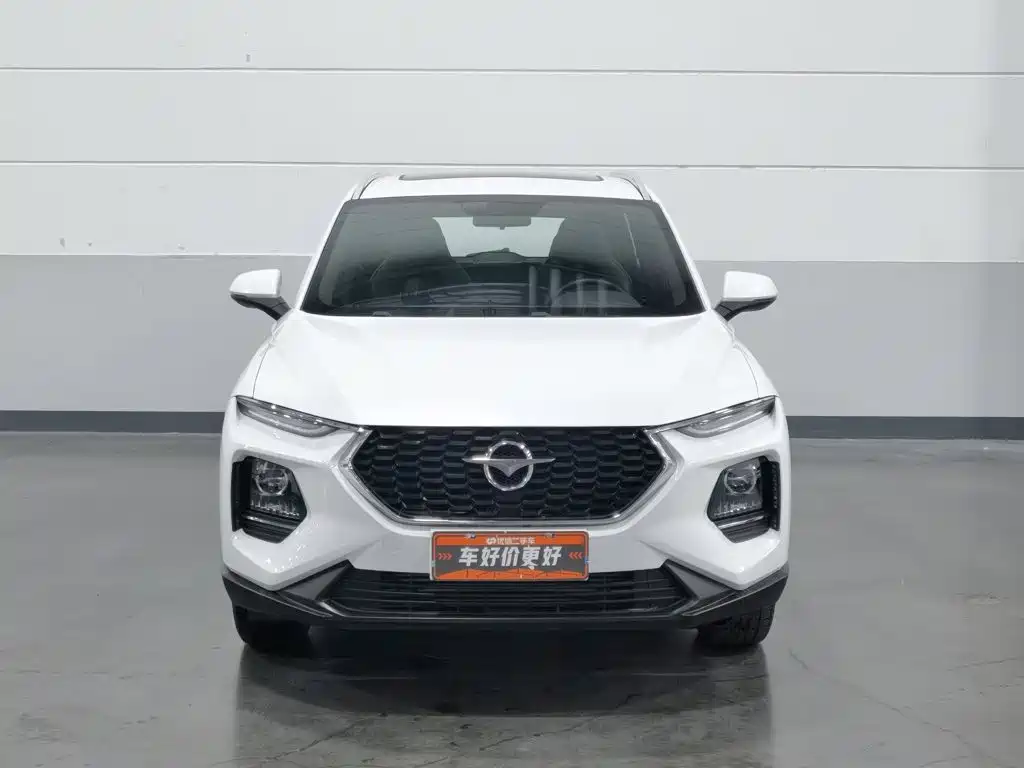 Фото 3 - Haima 8S