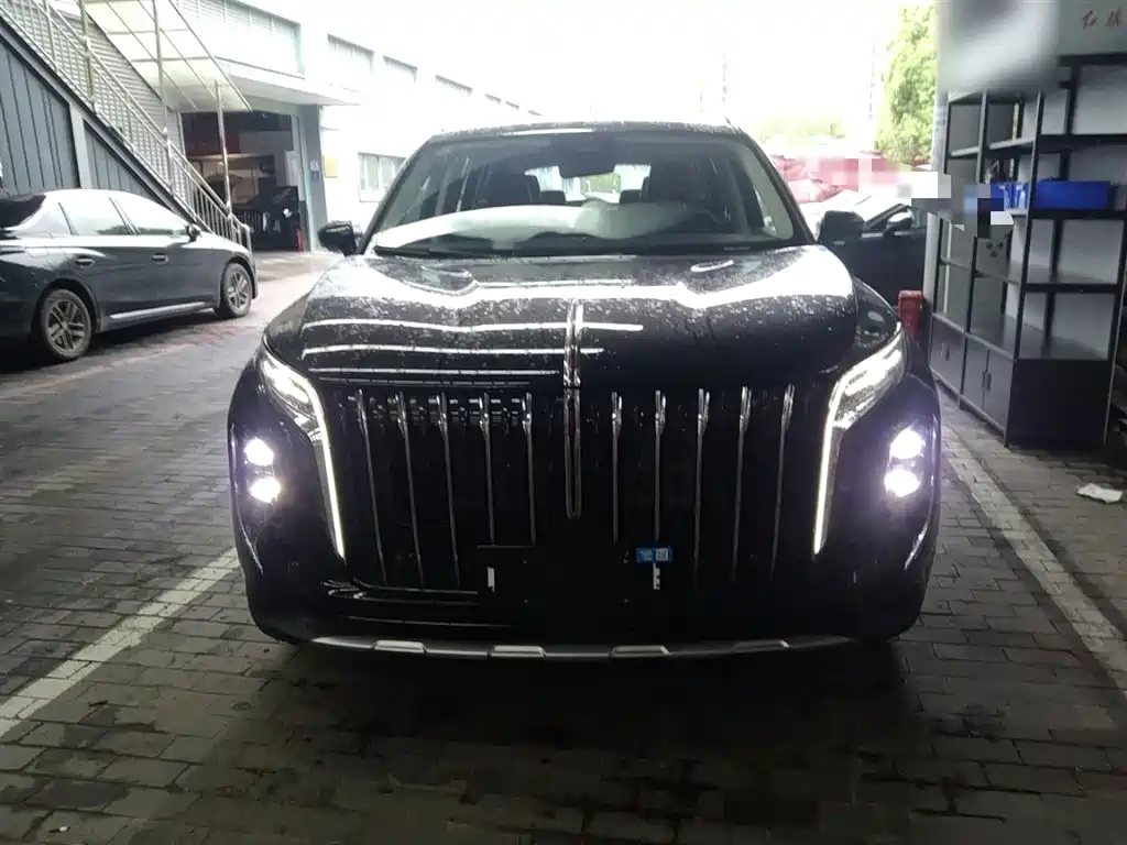 Hongqi HS7 PHEV 2024 2.0T PHEV 4WD Flagship Edition 6-seater фото 3