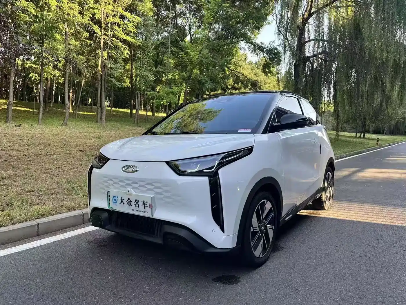 Chery New Energy Chery Wujie Pro 2022 2022 Model 301km Mythical Beast Edition NCM
