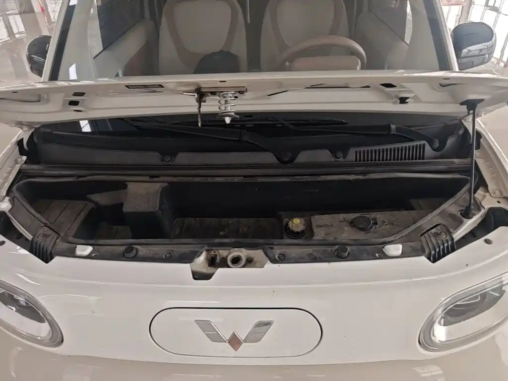 Фото 20 - Wuling Motors Hongguang MINIEV