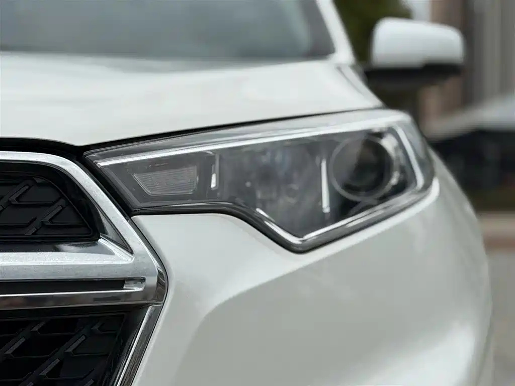 DONGFENG DONGFENG DEMEANOR MX5