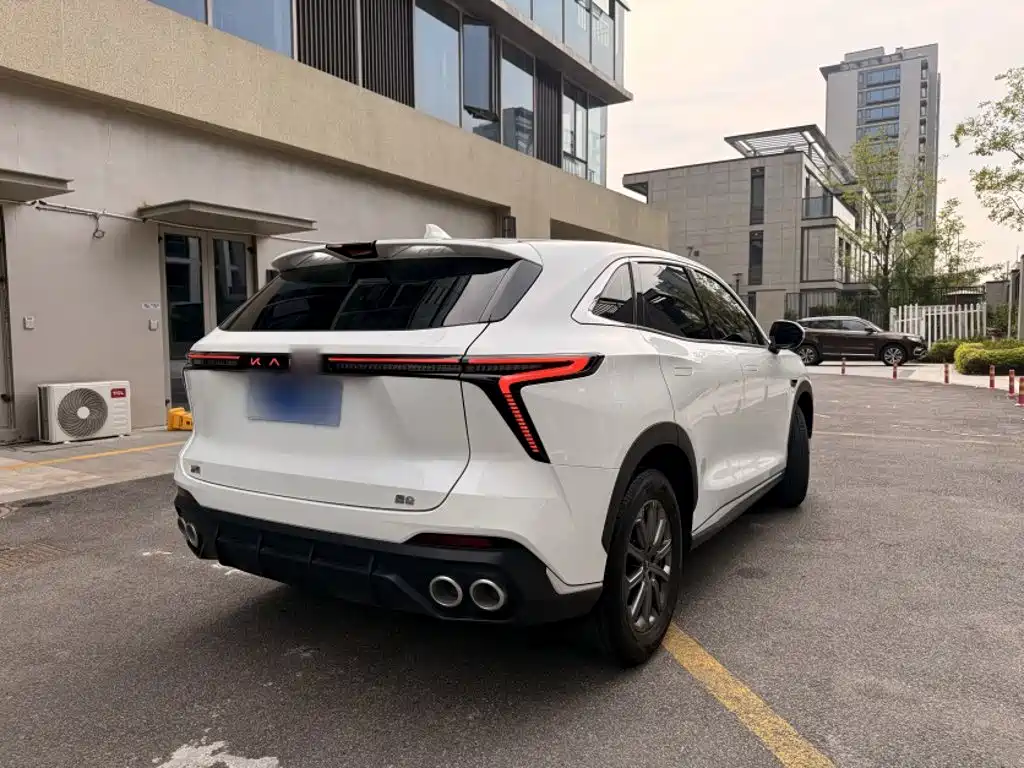 Cowin Kunlun 2025 2025 1.5T Plateau Edition 5-seater