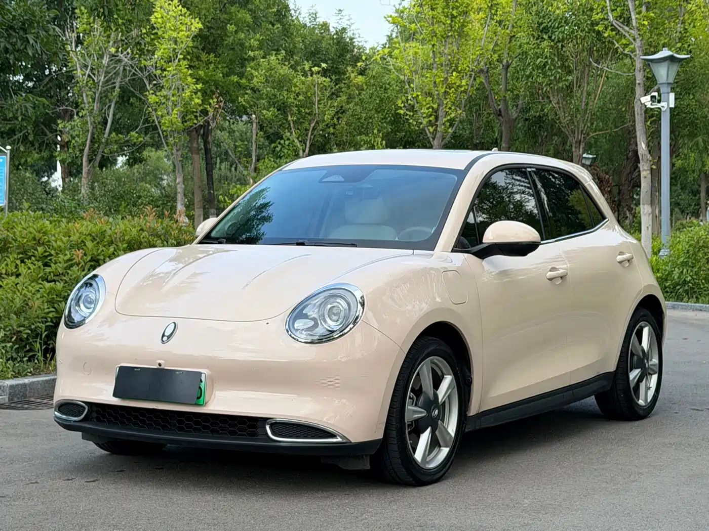 Ora Good Cat GT 2024 2023 Mulan Edition 401km Honor Model