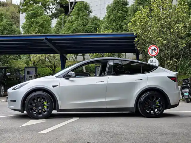Tesla Model Y 2021 Standard Range Rear-Wheel Drive — фото 4