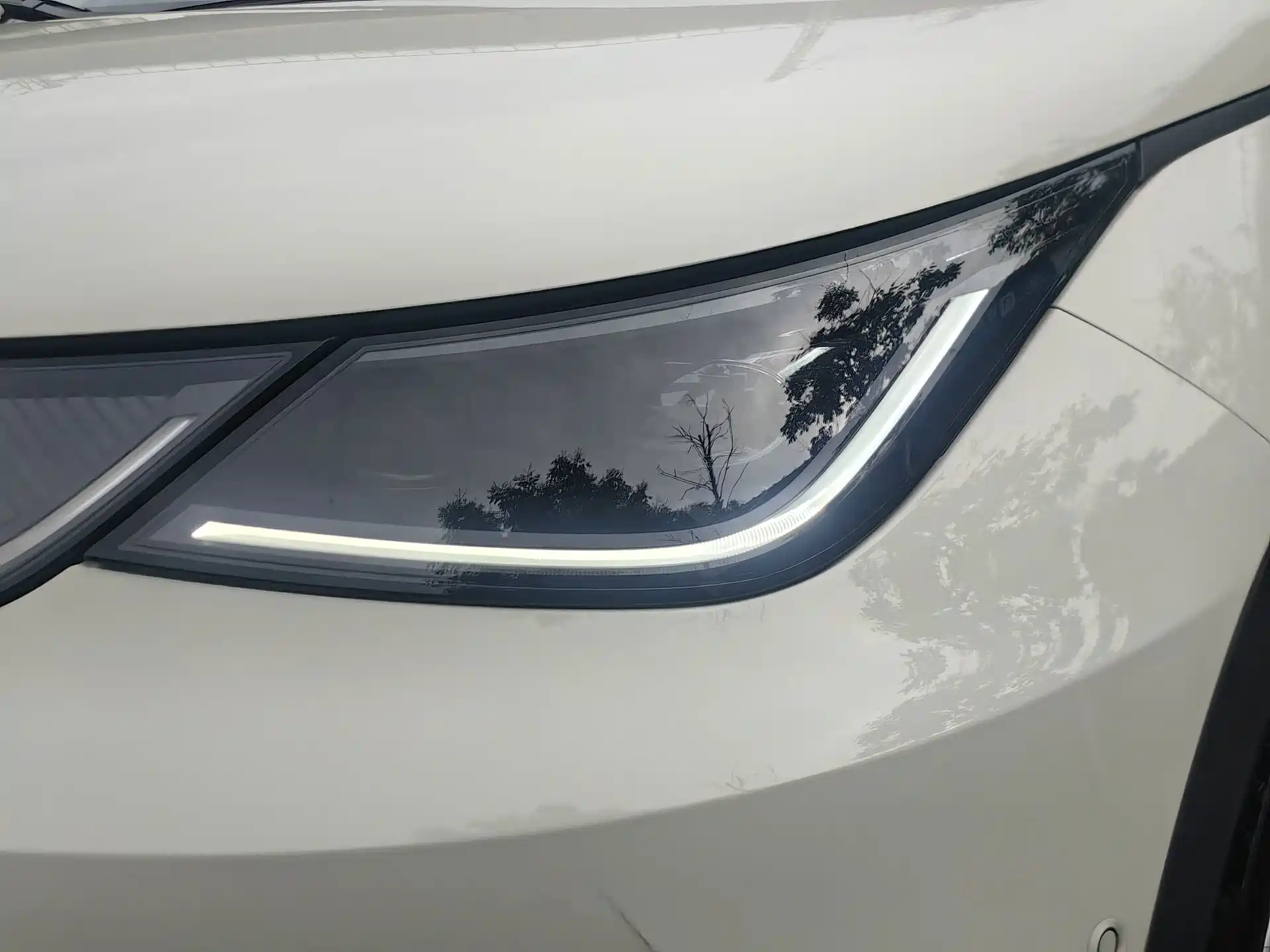 Photo 7 - BYD Dolphin