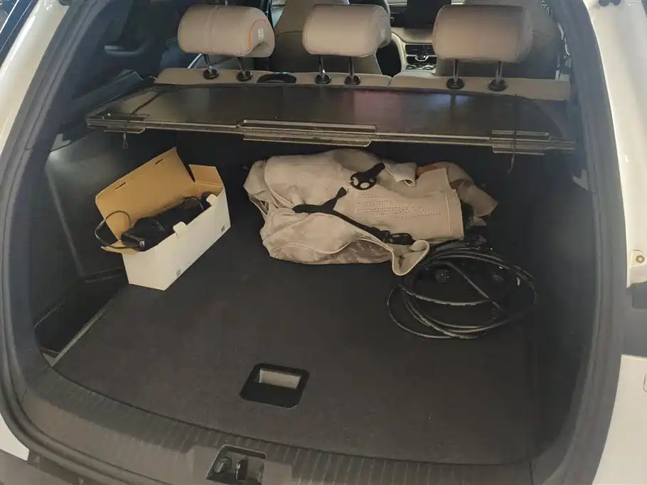 BYD Song Pro New Energy 2024 Glory Edition DM-i 71KM Leading фото 4