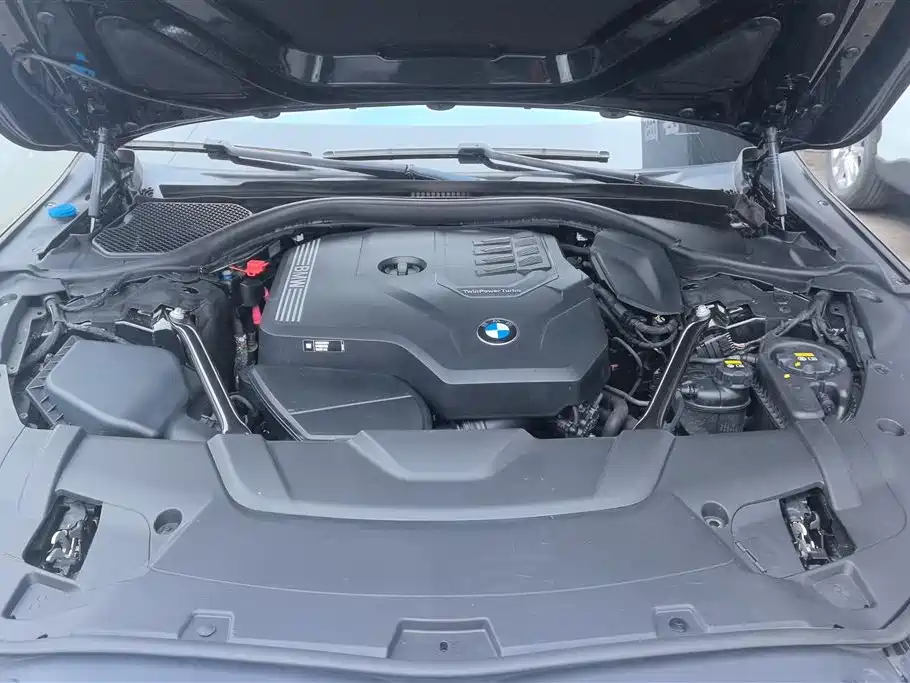 BMW 7 Series 2021 Model 730Li Luxury Package фото 10