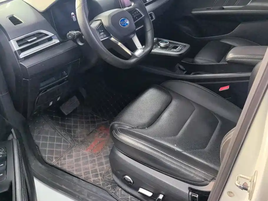 BYD e2 2019 2019 Standard Range Intelligent Comfort
