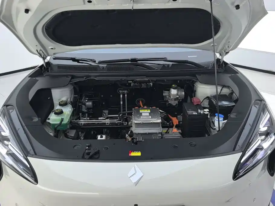 Baojun Yunhai 2025 2024 600km Pure Electric Version
