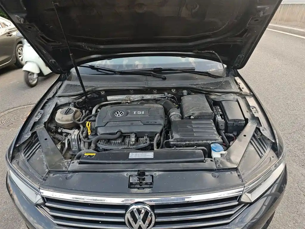 Volkswagen Magotan 2018 330TSI DSG Luxury фото 21