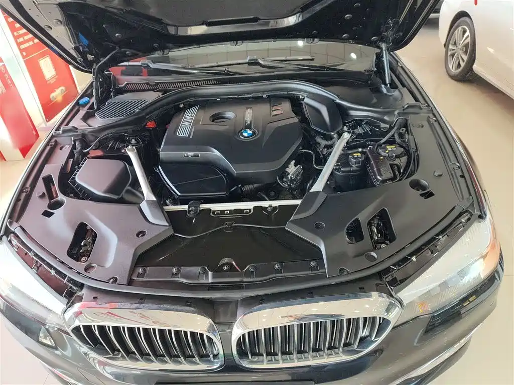 BMW 5 Series 2019 530Li xDrive Luxury Package фото 16