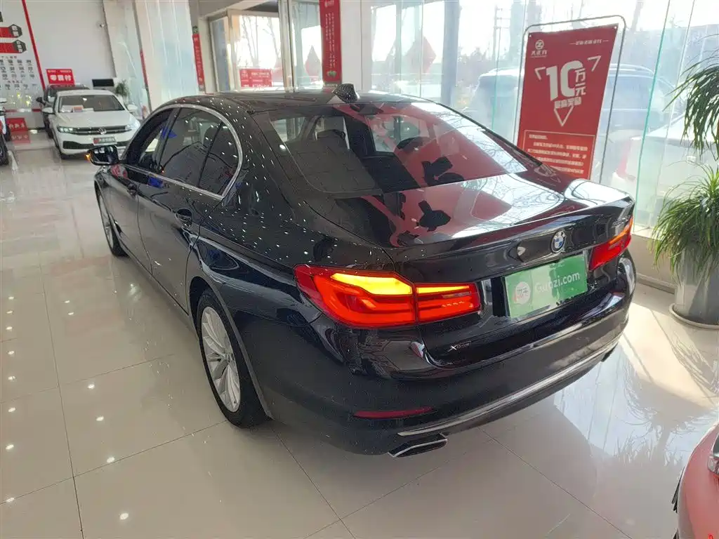 BMW 5 Series 2019 530Li xDrive Luxury Package фото 23