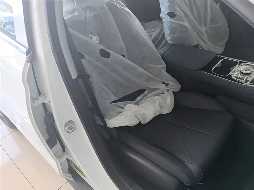 Geely Galaxy Galaxy Stellar 6 2025 Model 125km Free Edition фото 25