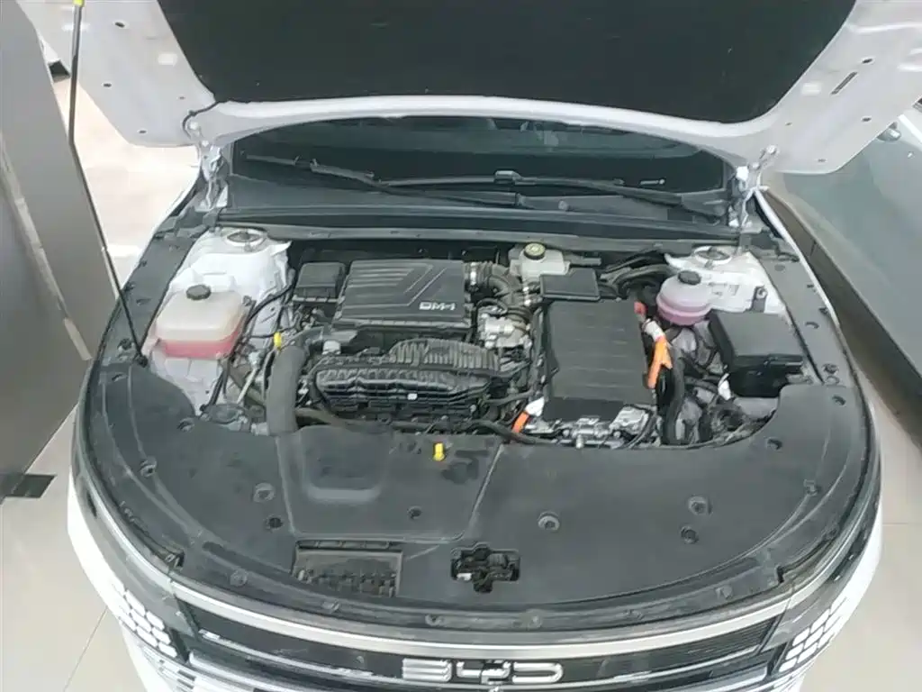 BYD Destroyer 05 2024 Glory Edition DM-i 55KM Luxury фото 20