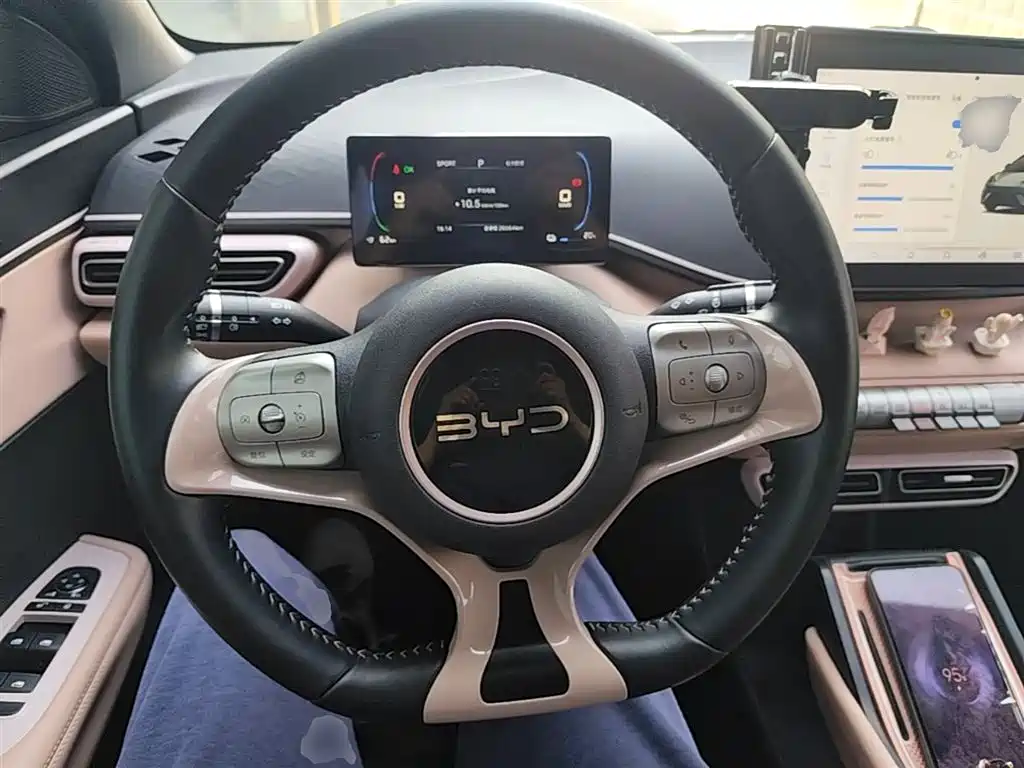 BYD Seagull 2024 Glory Edition 305km Freedom Edition фото 7