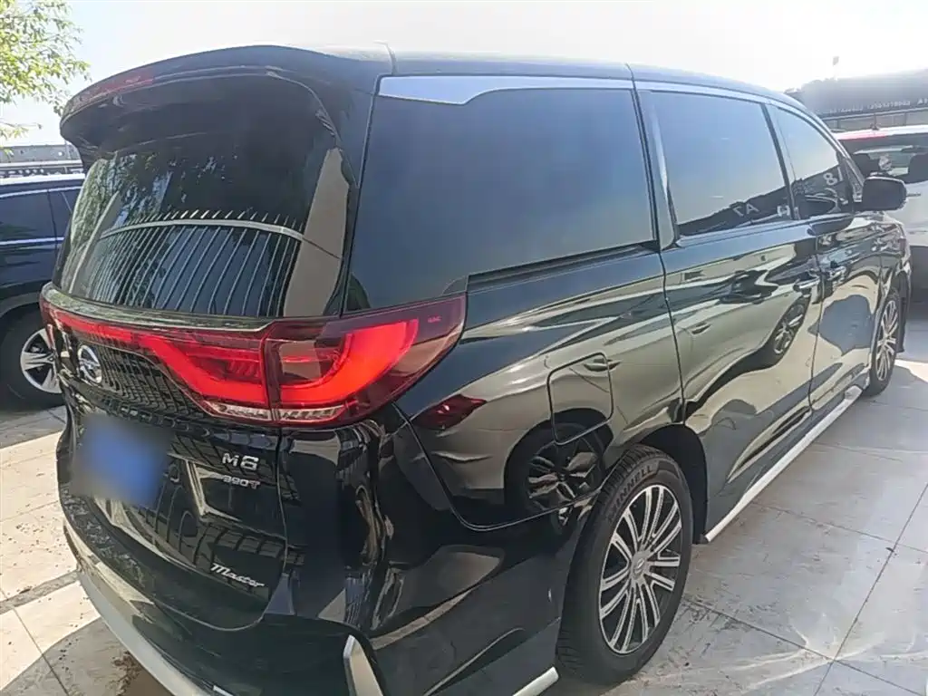 GAC Trumpchi Trumpchi M8 2021 Master Series 390T Prestige Edition фото 6