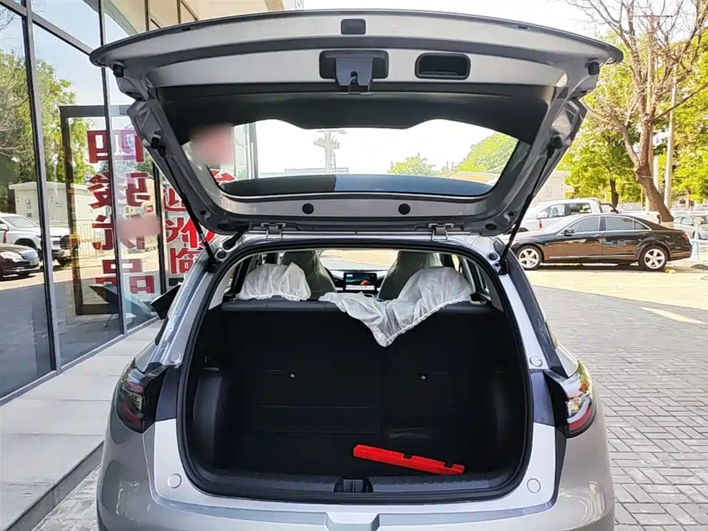 Geely Galaxy Starry Wish 2026 Edition 310km Youth Version фото 19