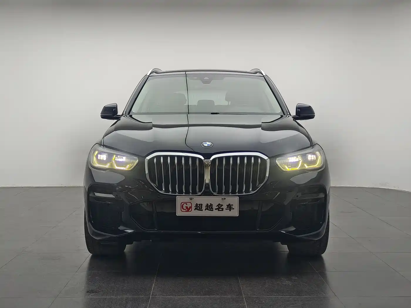 BMW X5 (Import) 2022 xDrive40i M Sport Package фото 2