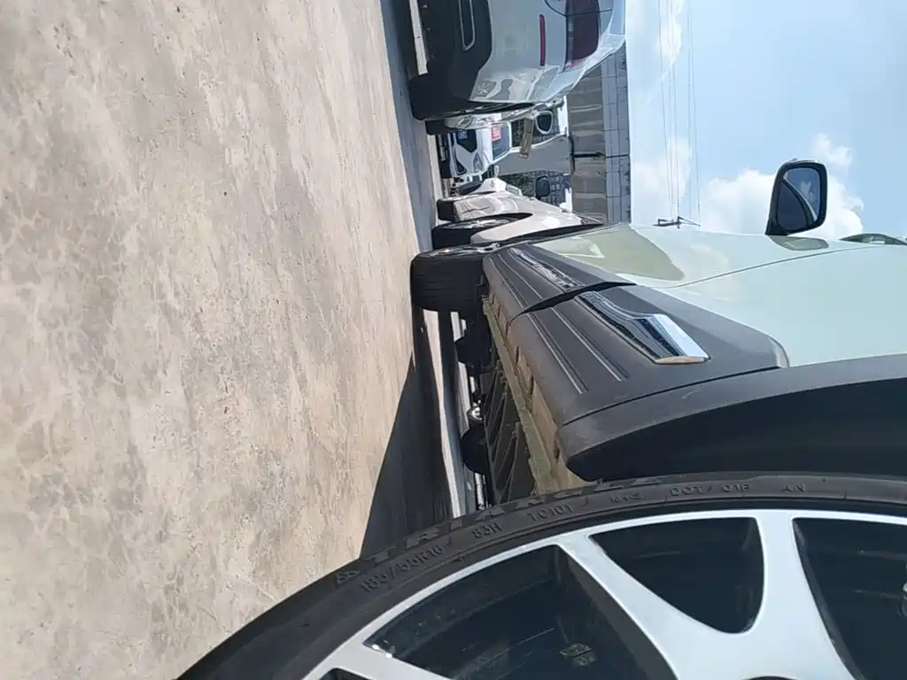 Dayun Yuehu 2022 2022 30.66kWh 2WD VIP Edition