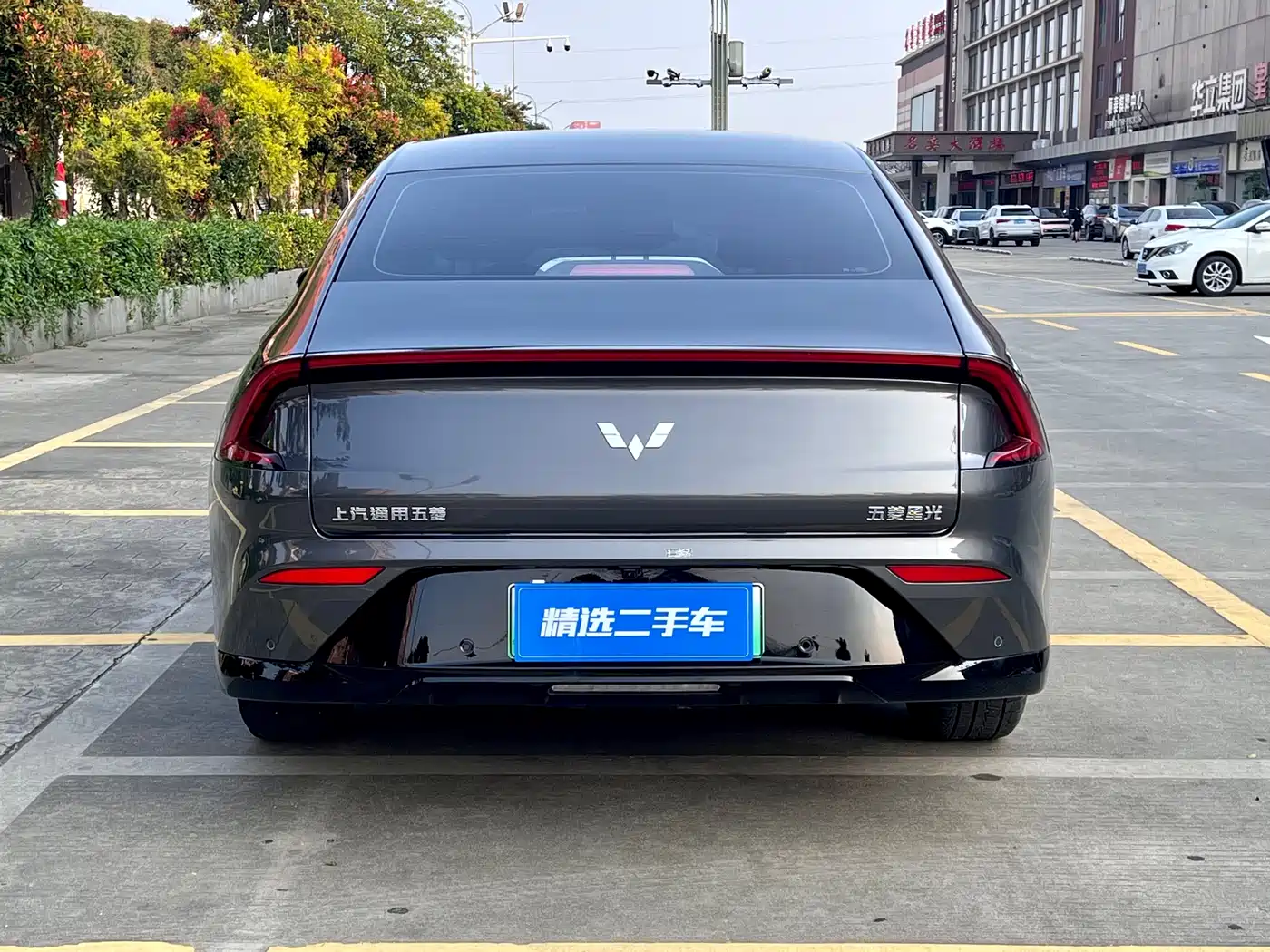 Wuling Motors Wuling Xingguang 2024 2024 Co-Creation Edition 150 Standard