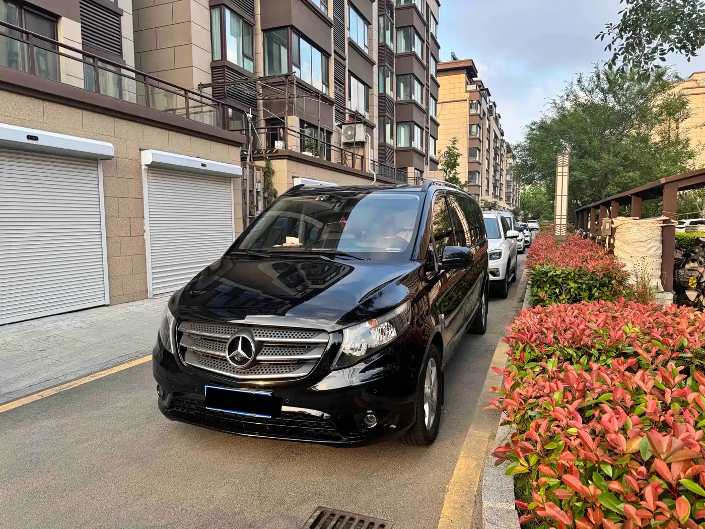 Mercedes-Benz Vito 2018 2.0T Business Edition China VI