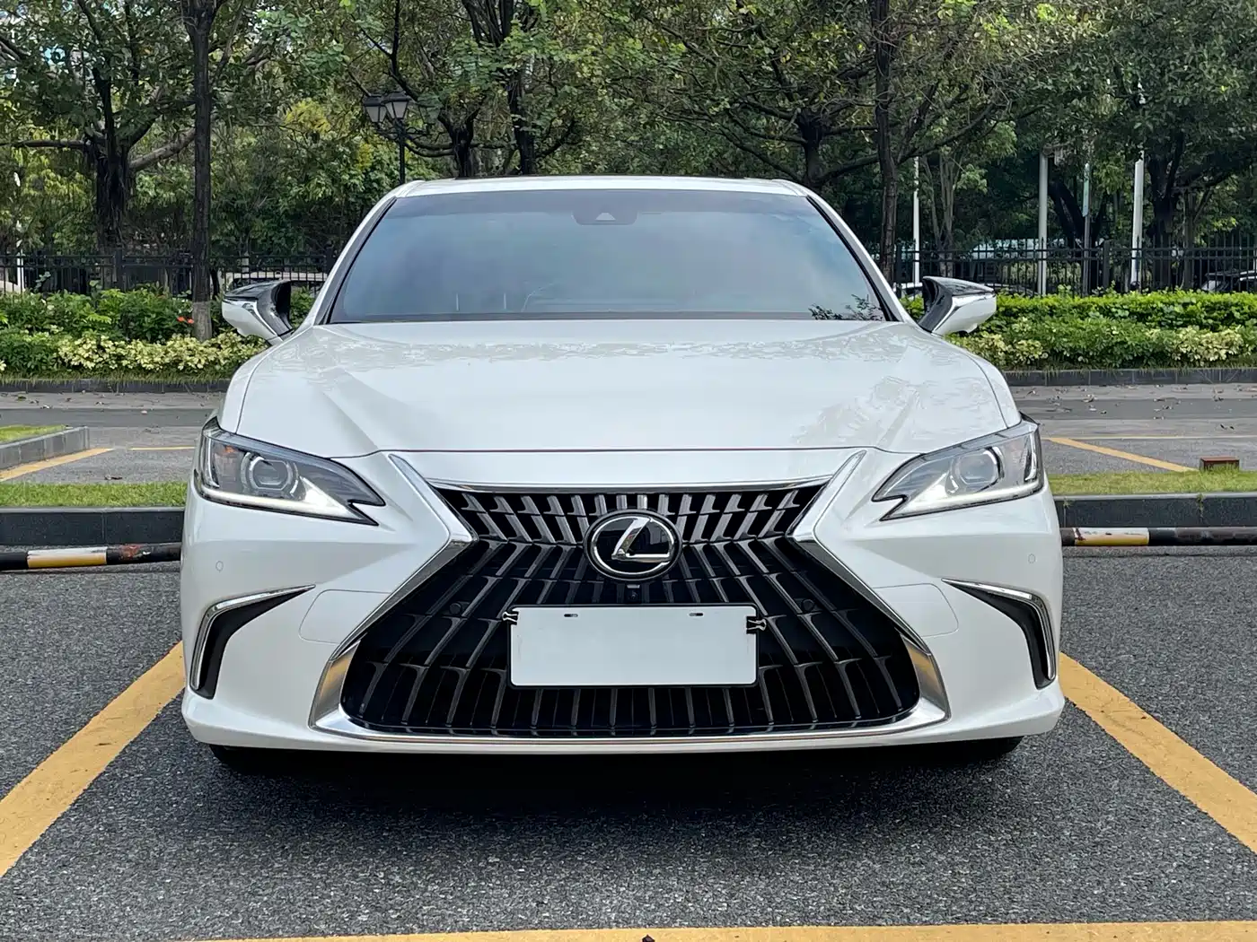 Lexus ES 2023 200 Excellence Edition фото 2