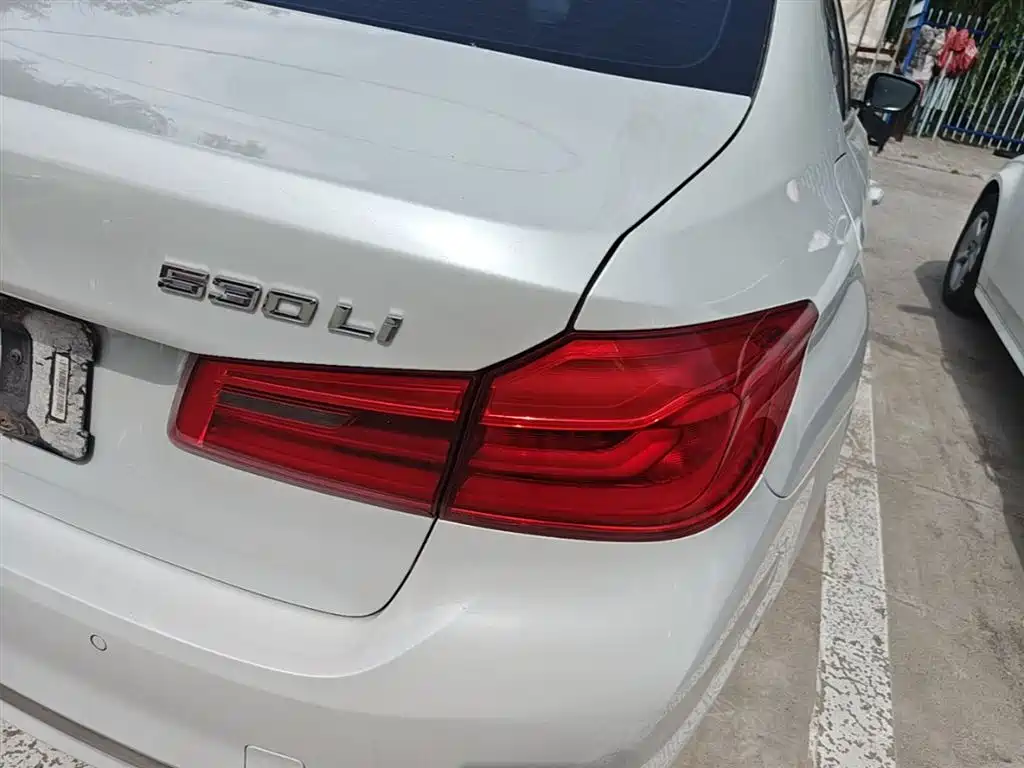 BMW 5 Series 2020 530Li xDrive Luxury Package фото 8