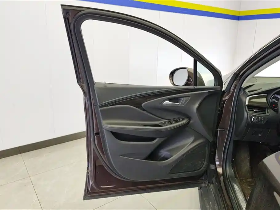 Buick Envision Plus 2018 20T 2WD Elite фото 7