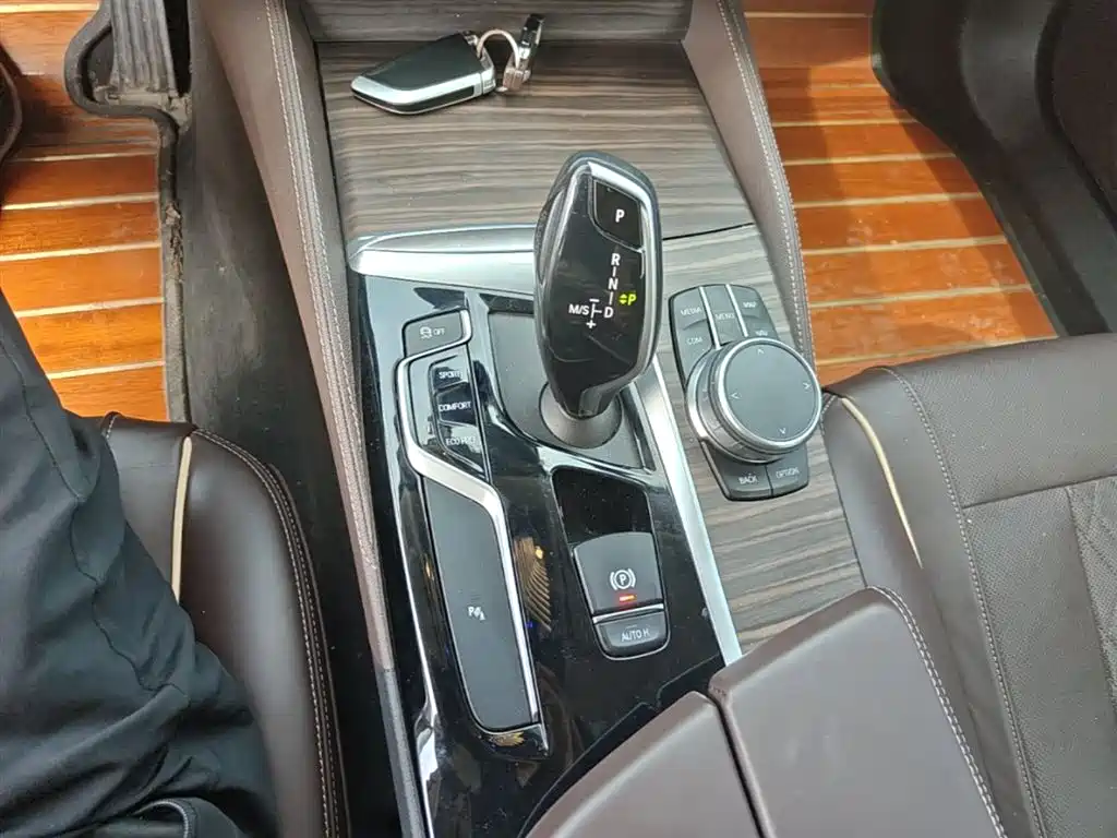 BMW 5 Series 2020 530Li xDrive Luxury Package фото 14