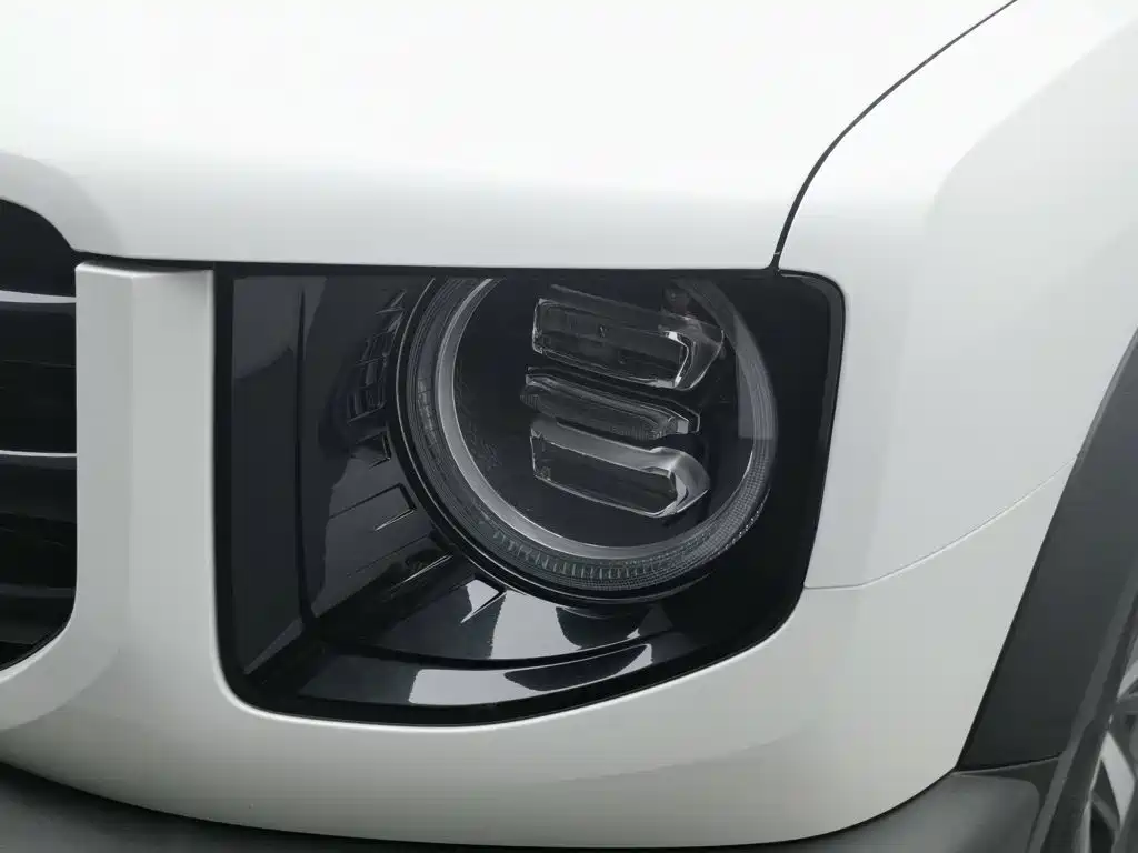 Haval Big Dog, миниатюра 7