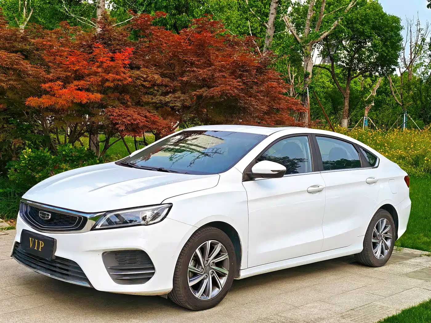 Geely Binrui 2019 200T DCT Binshi Edition