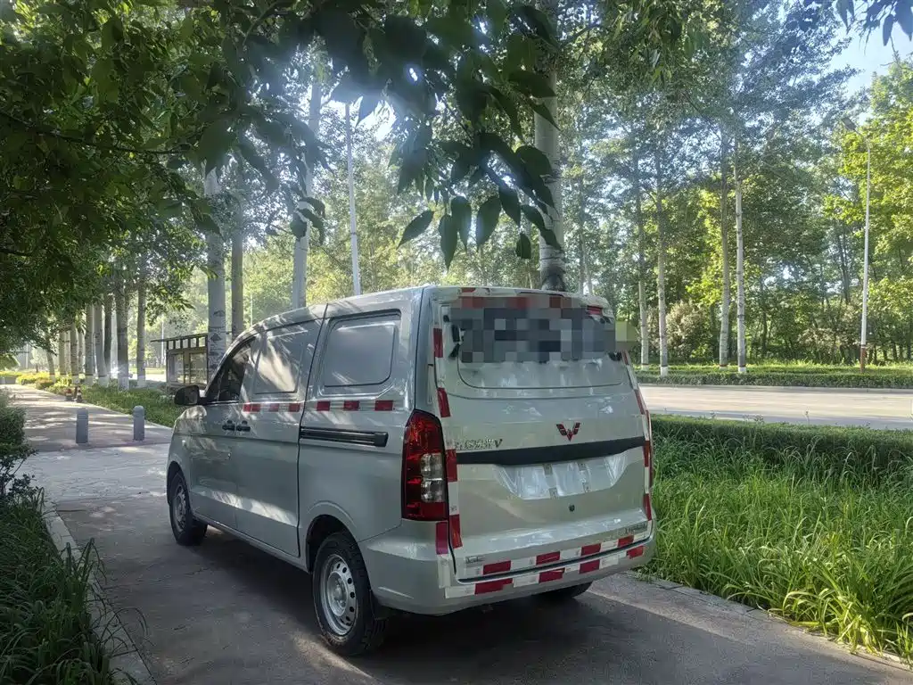 Wuling Motors Wuling Hongguang V 2025 2022 1.5L Dynamic Edition Windowless Van Hydraulic Power Steering LAR