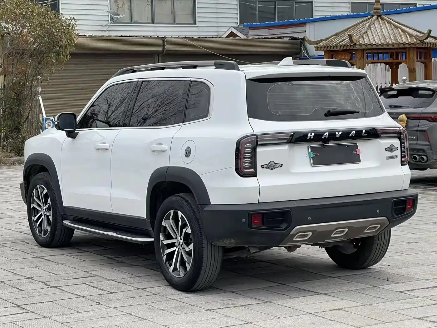 HAVAL BIG DOG