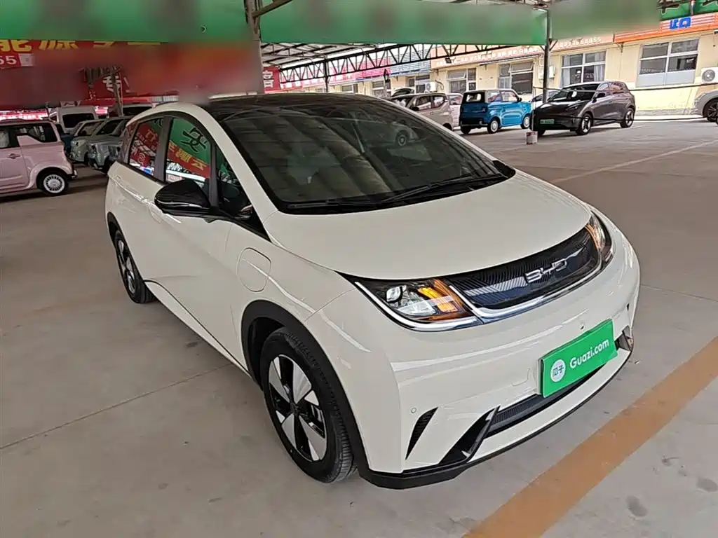 BYD Dolphin 2023 420km Fashion Edition фото 4