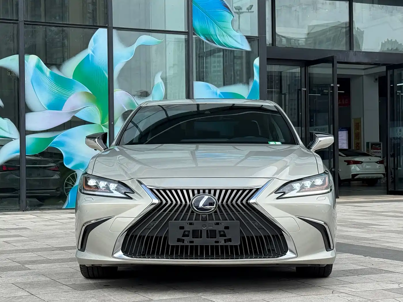 Lexus ES 2018 300h Premium Edition China V фото 3