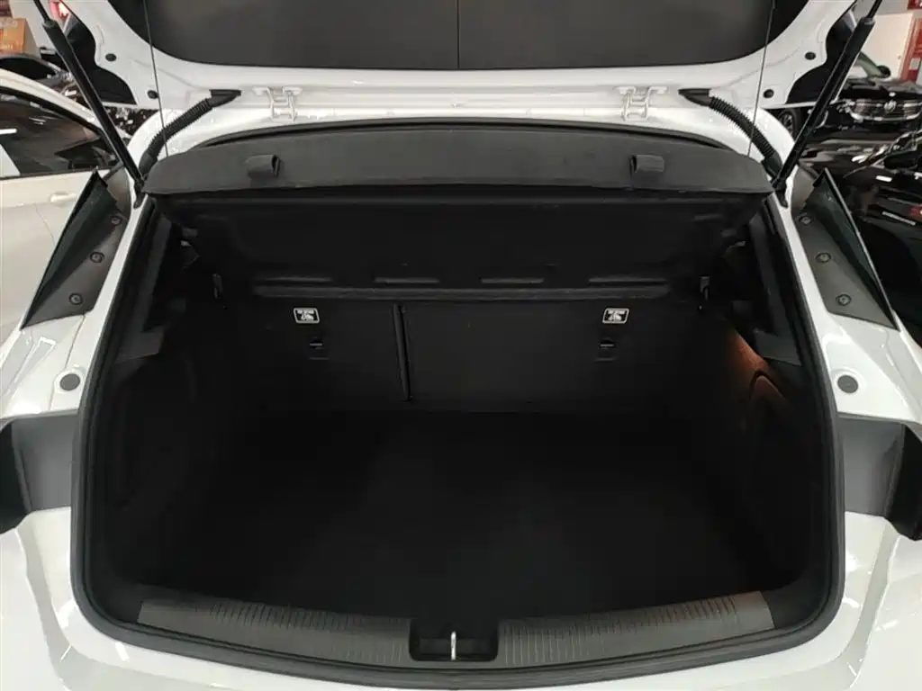Buick Verano 2018 Hatchback GS 20T Dual Clutch Leading фото 19