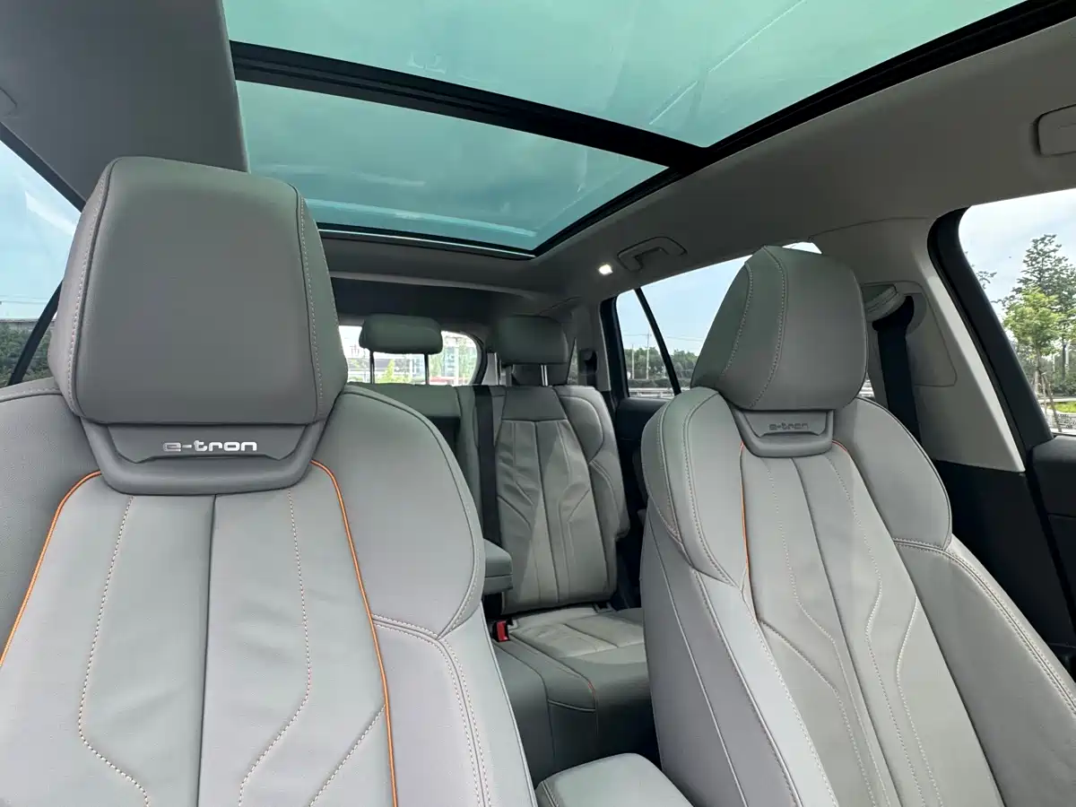 Audi Q5 e-tron 2022 40 e-tron Starlight Edition Brocade Package фото 20