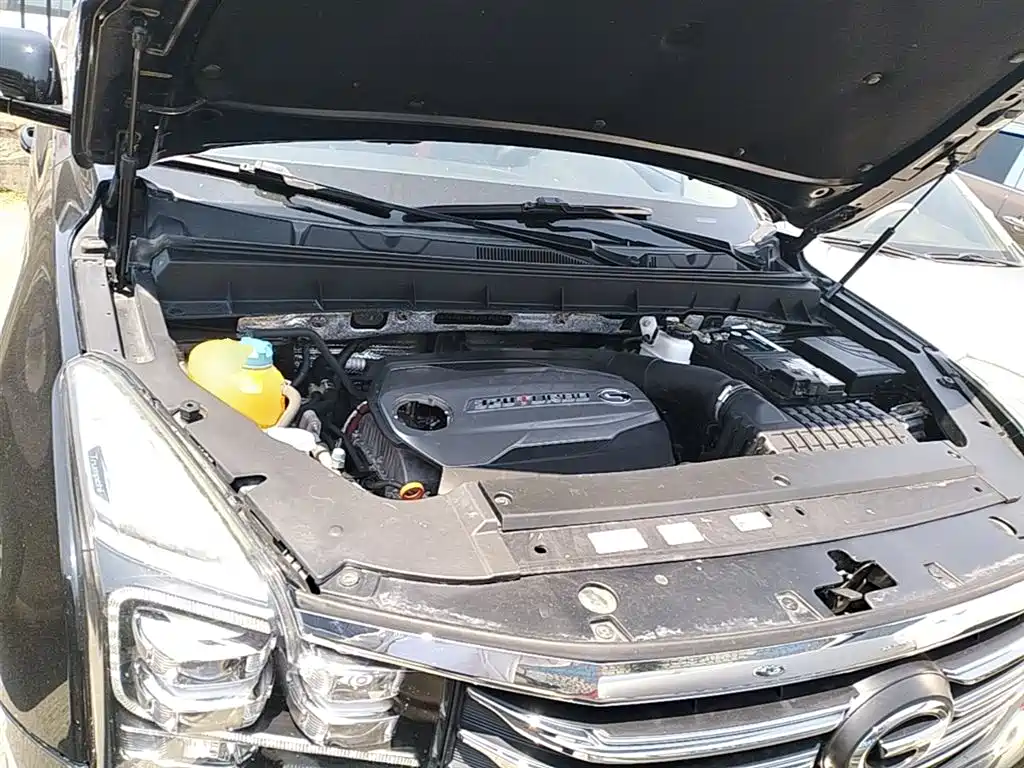 GAC Trumpchi Trumpchi GS8 2017 320T 2WD Luxury Smart Connect (7-seater) фото 20