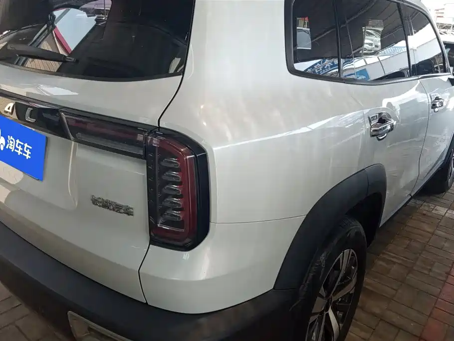 Haval Big Dog 2021 1.5T DCT 2WD Labrador Edition фото 3