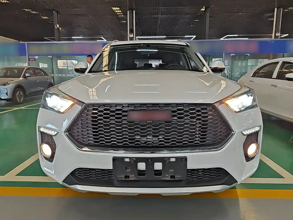 Haval H6 Coupe 2018 Red Label 1.5T Auto 2WD Luxury Edition фото 3