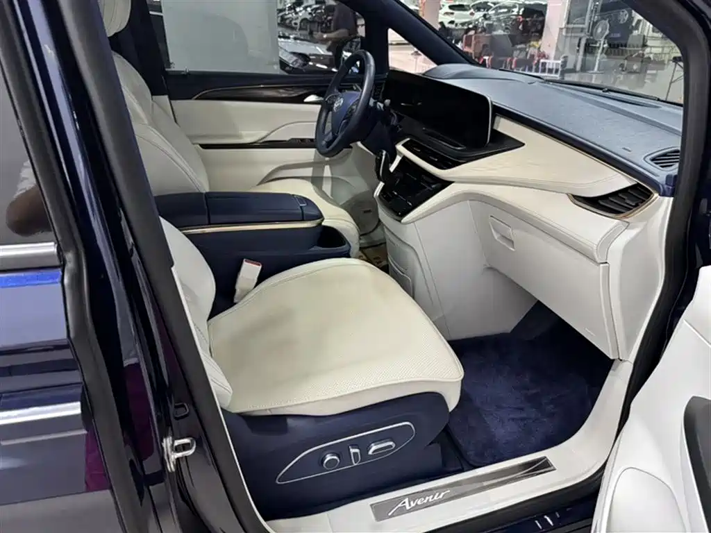Buick GL8 2020 Avenir Four-Seat Prestige Edition фото 4