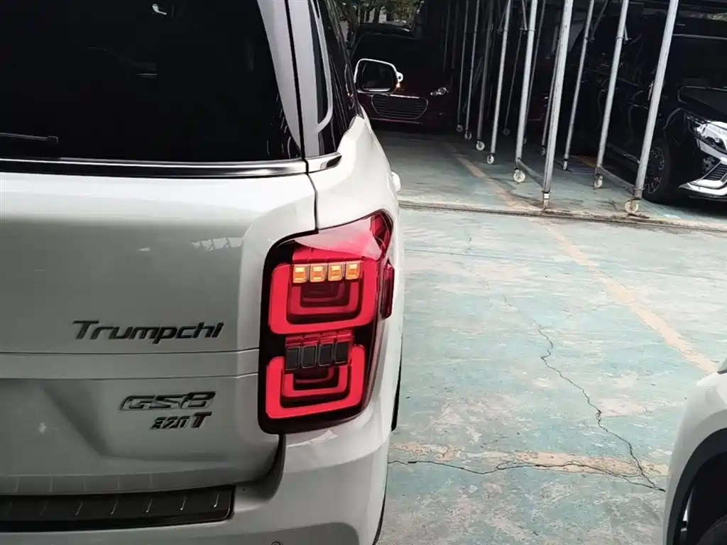 GAC Trumpchi Trumpchi GS8 2017 320T 2WD Luxury Smart Connect (7-seater) фото 8