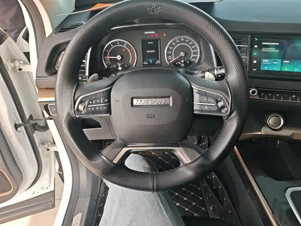 Haval H6 2020 1.5GDIT Automatic Platinum Urban Edition фото 11