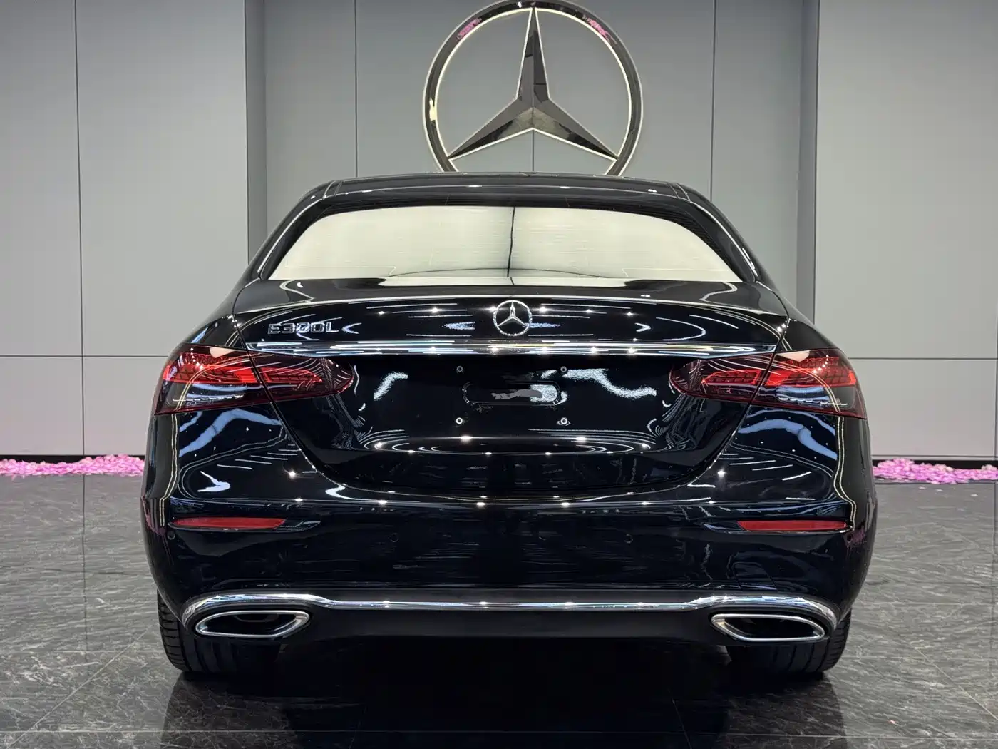 Mercedes-Benz E-Class 2023 E 300 L Luxury фото 8