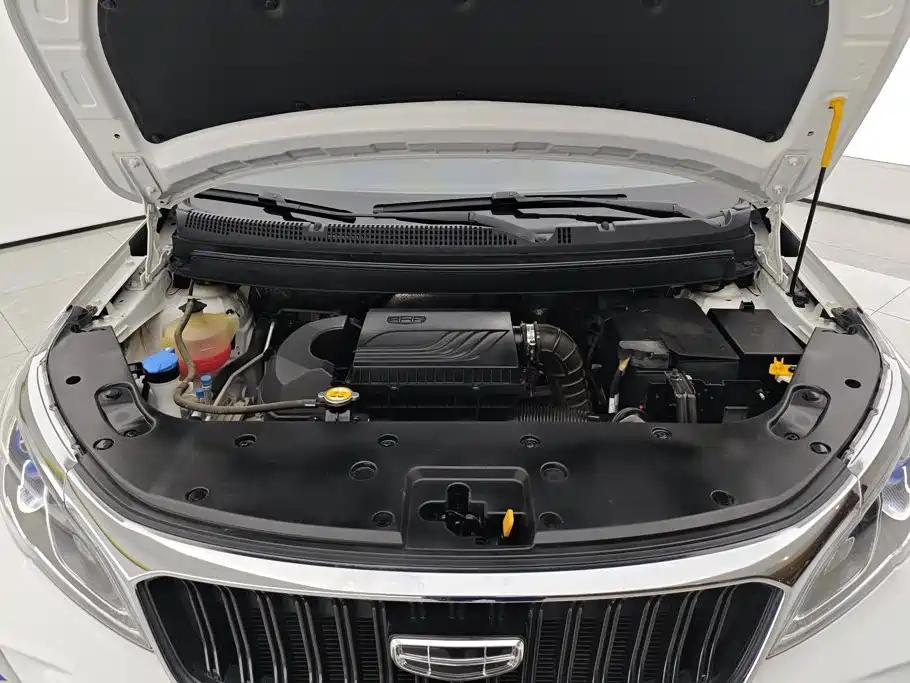 Фото 10 - Geely Vision X3