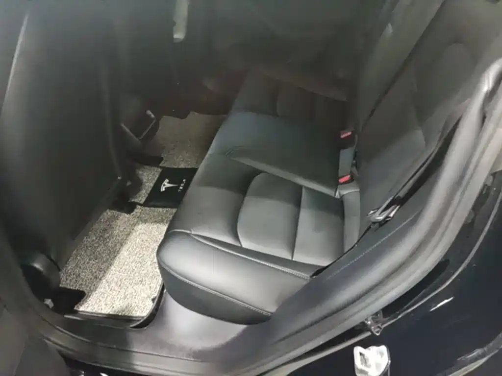 Tesla Model 3 2020 2020 Standard Range Rear-Wheel Drive Upgrade