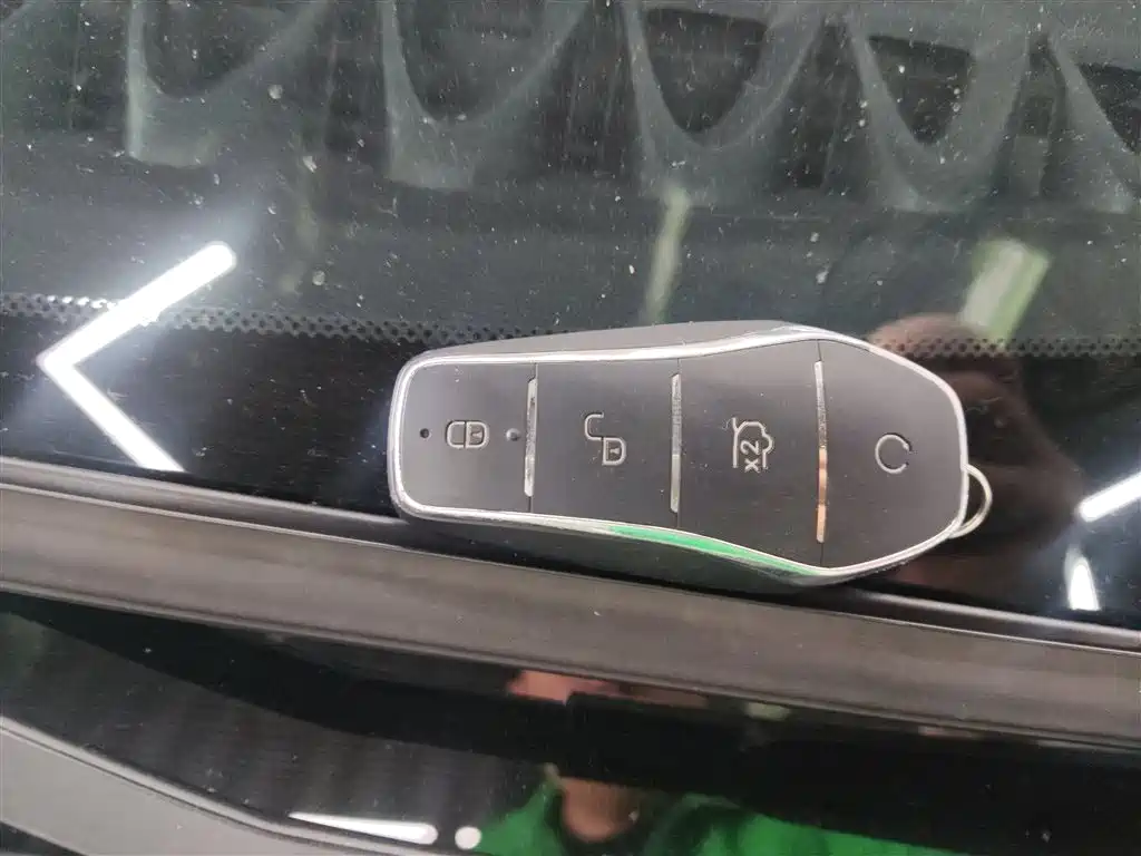 BYD Dolphin 2024 Glory Edition 420km Freedom Edition фото 9