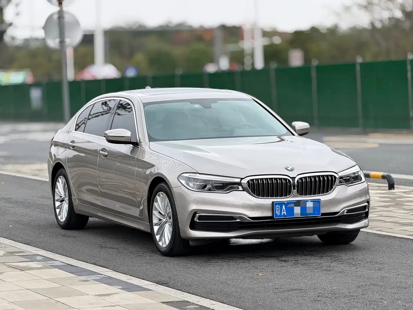 BMW 5 Series 2020 530Li Leading Luxury Package фото 5