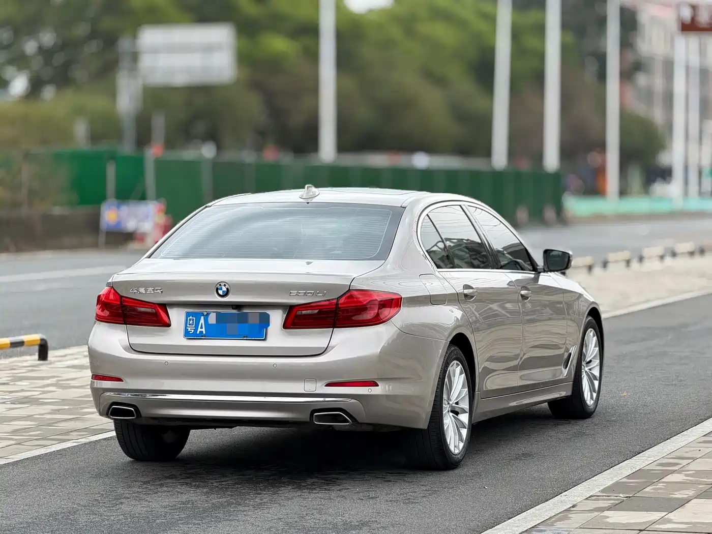 BMW 5 Series 2020 530Li Leading Luxury Package фото 7